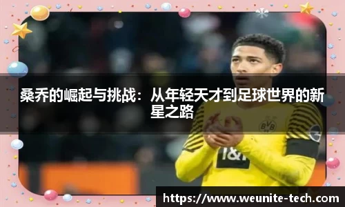 完美体育登录入口